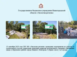 15 сентября 2025 года ГБУ НО «Экология региона» проведены мероприятия по очистке от строительного мусора территории памятника природы регионального значения «Малиновая гряда» в Приокском районе города Нижнего Новгорода. Собрано около 3 м3 мусора.